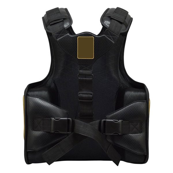 Customized Chest Guards - Image 2